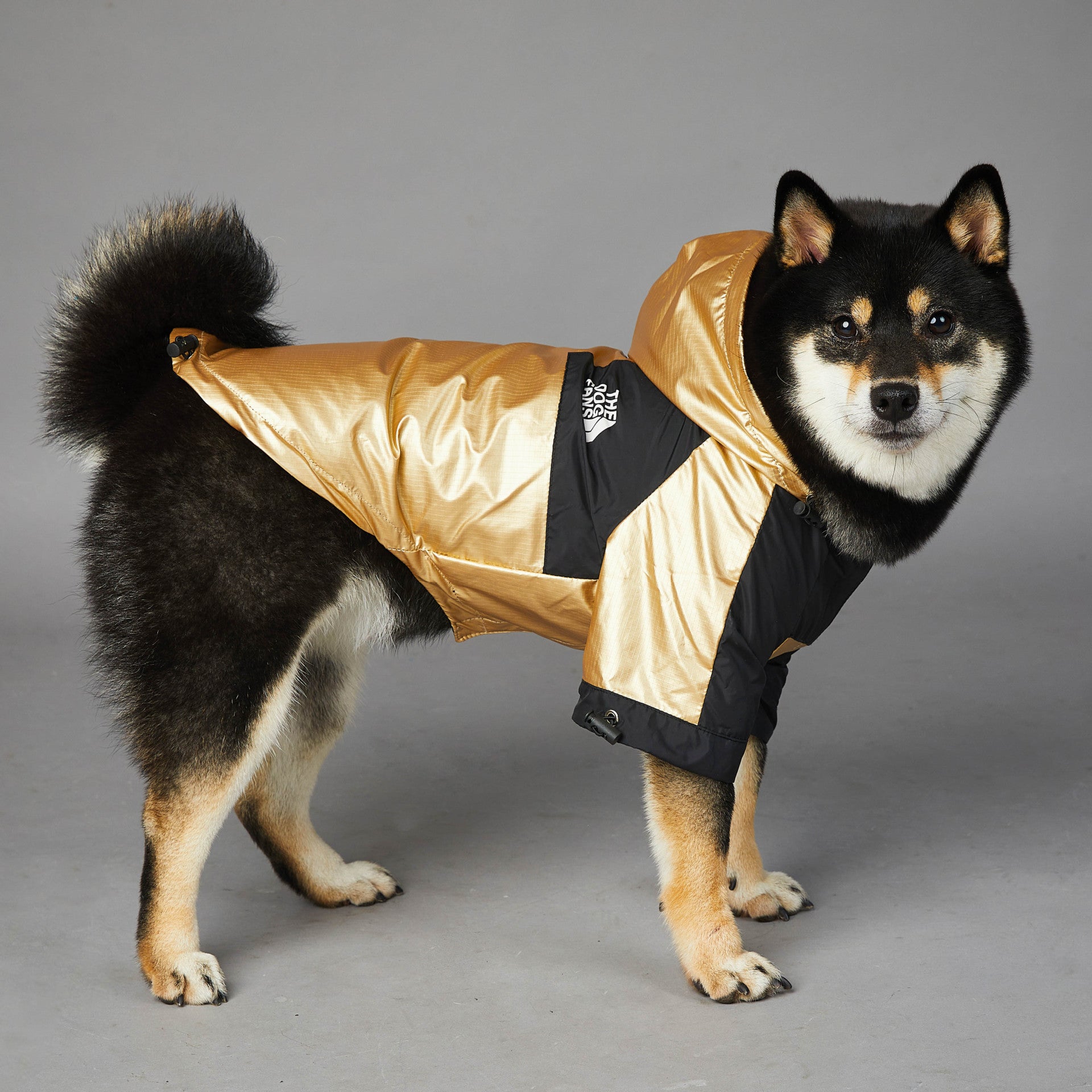 Heavy-Duty Waterproof Dog Raincoat – Reflective Golden Jacket