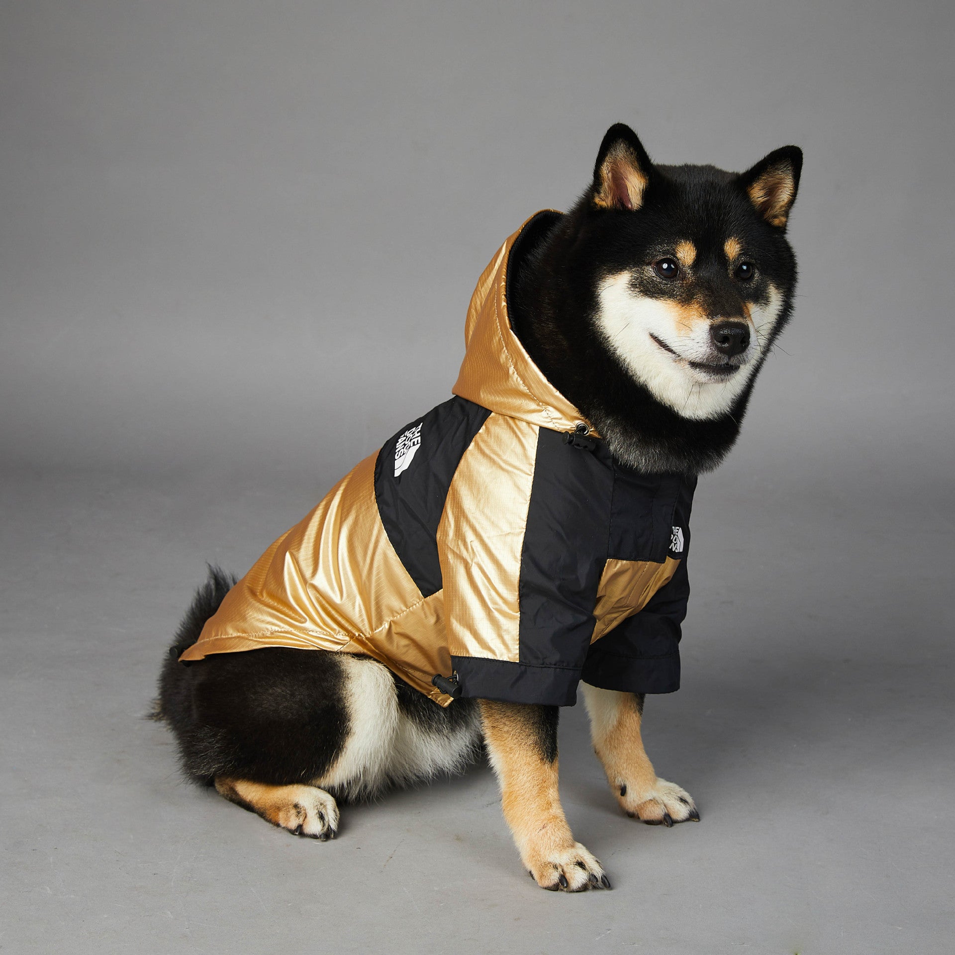 Heavy-Duty Waterproof Dog Raincoat – Reflective Golden Jacket
