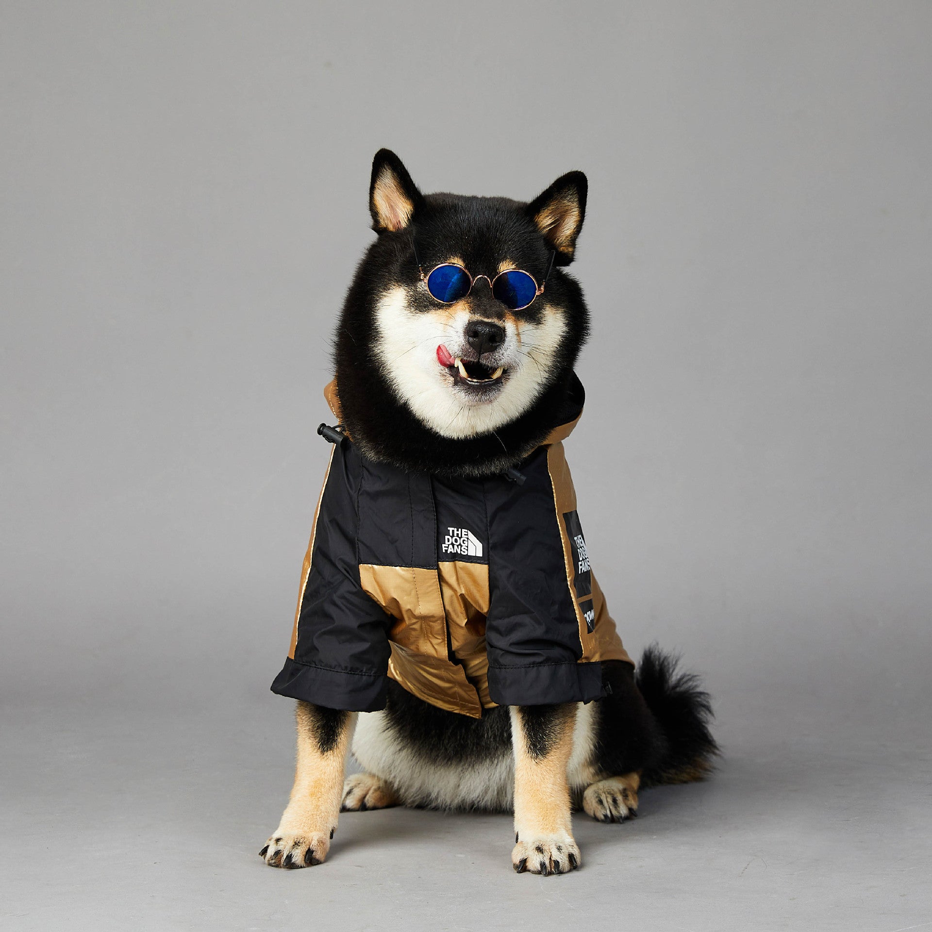 Heavy-Duty Waterproof Dog Raincoat – Reflective Golden Jacket