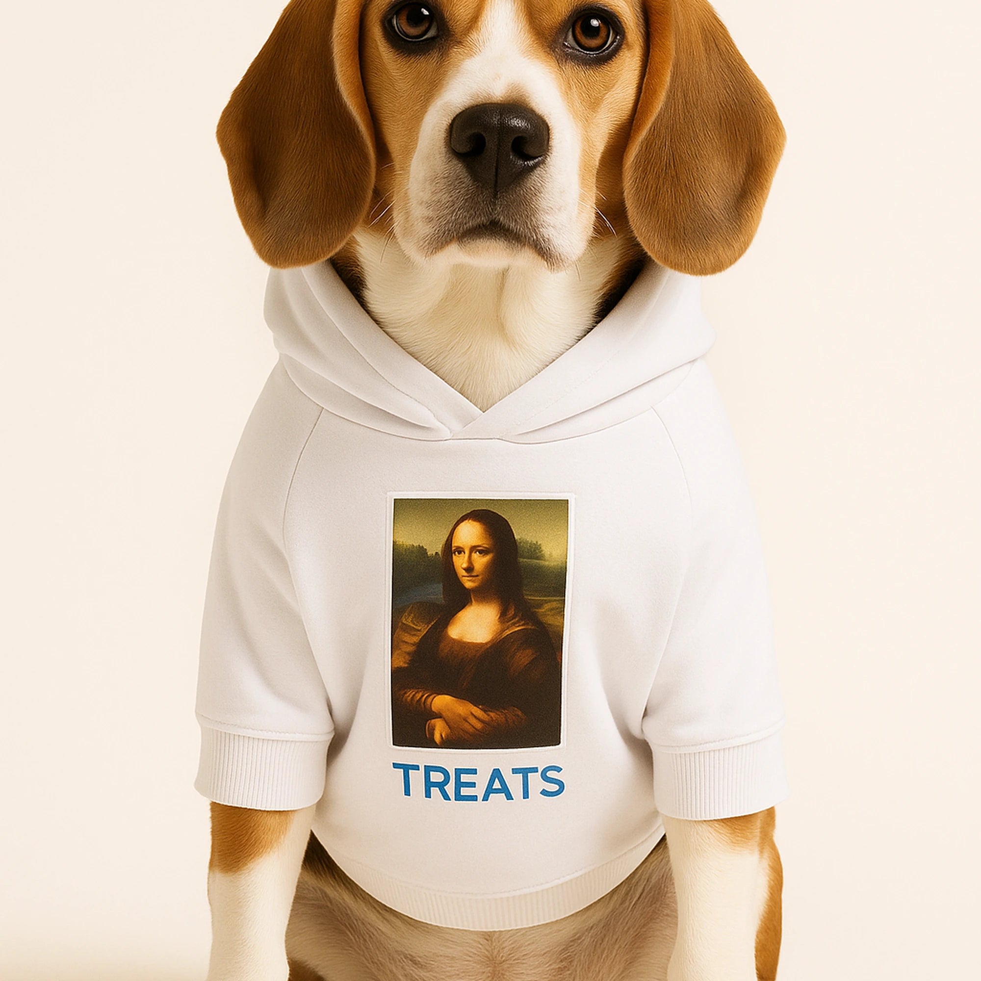 Graphic Dog Hoodie Set – ‘TREATS’ Crossbones & Mona Lisa Print