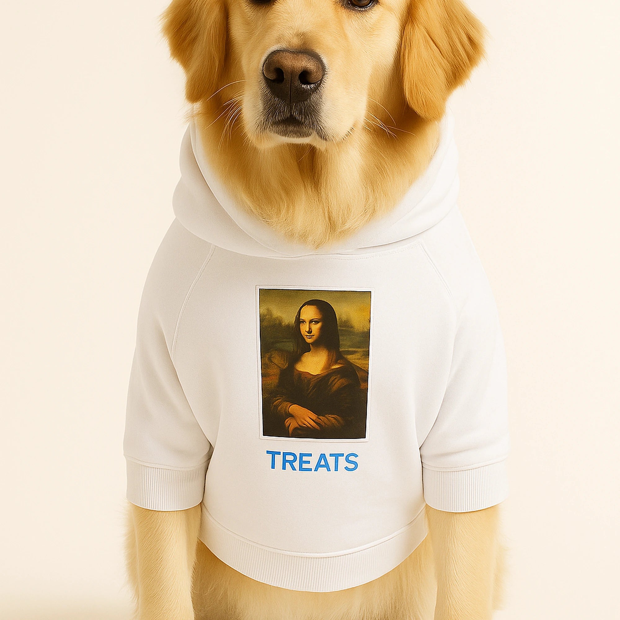Graphic Dog Hoodie Set – ‘TREATS’ Crossbones & Mona Lisa Print