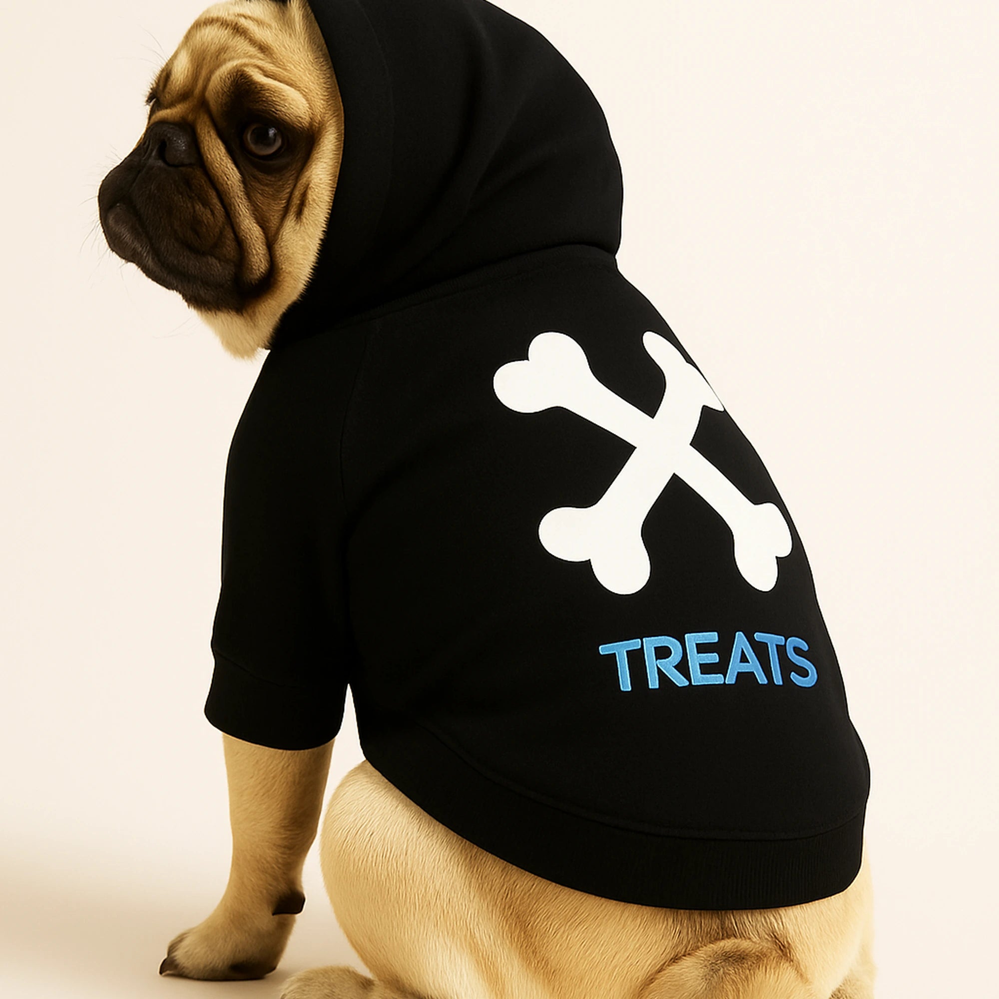 Graphic Dog Hoodie Set – ‘TREATS’ Crossbones & Mona Lisa Print