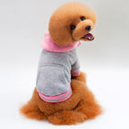 Premium Cotton Color-Block Dog Hoodie – Soft Fleece Pullover with Pocket for Small Pets