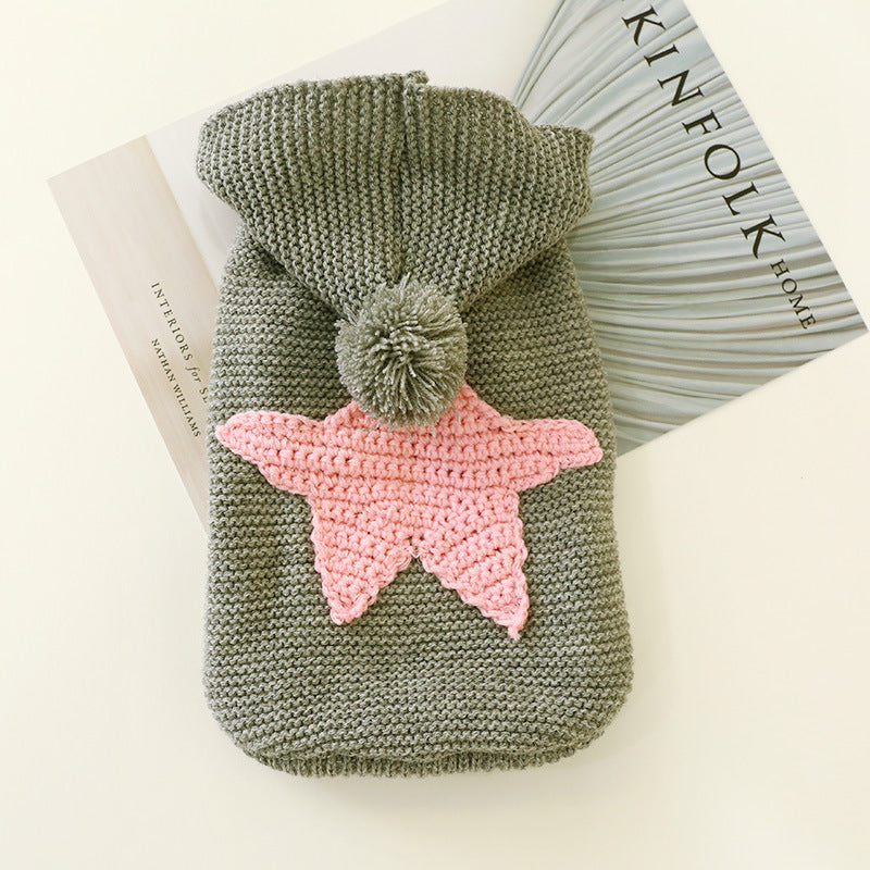 Pet autumn and winter warm sweater