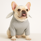 Bunny Ears Dog Hoodie – Lightweight Knit Pet Sweatshirt for Spring & Fall
